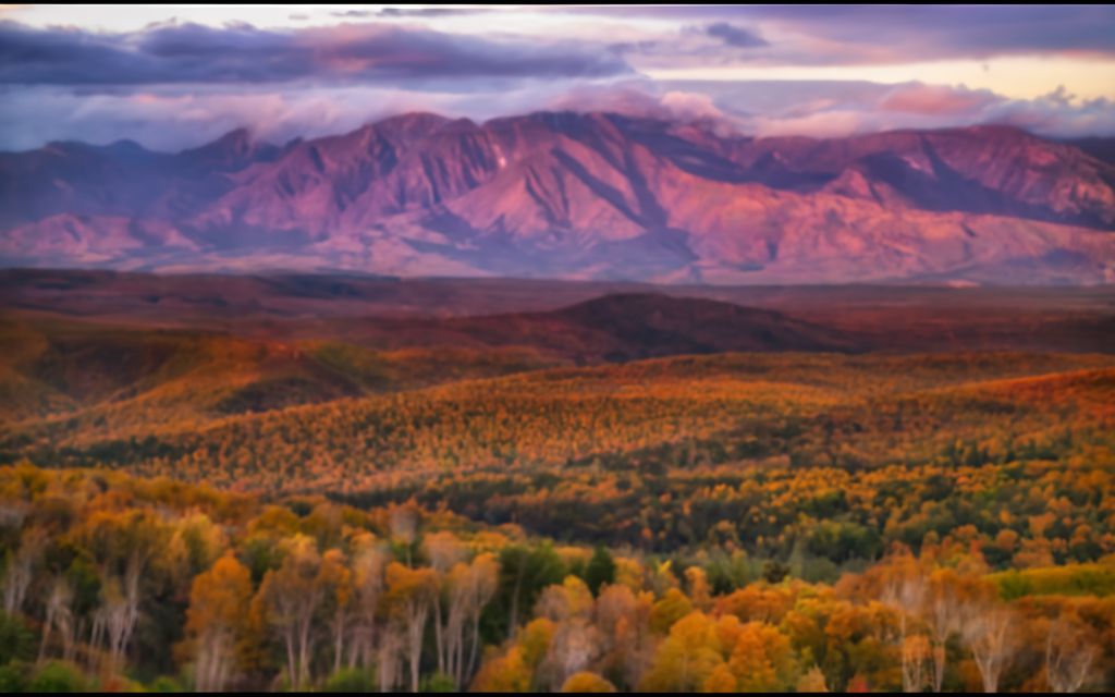 5 Bancos De Imagens Gratuitos